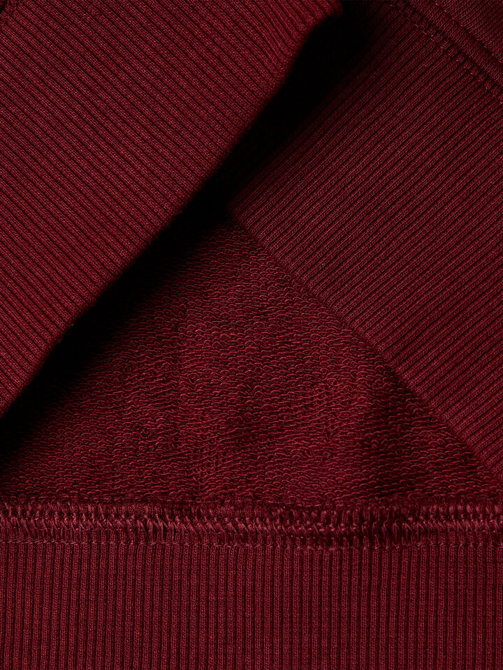 SWEATER W/HOOD Junior Boy image number 3